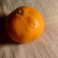 井上みかん (@pyk1efgbwp0wmb) 's Twitter Profile