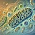 Mitochondria & Aging (@mitoaging) Twitter profile photo Mitochondria & Aging (@mitoaging) Twitter profile photo