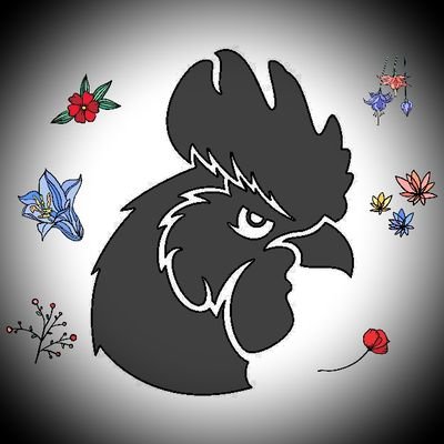 monasteradel's profile picture. neu hier :)