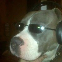 Luis #ANRNuncaMás (@elflacodelfondo) 's Twitter Profile