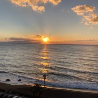 おとうふ (@momenkakinu) 's Twitter Profile Photo