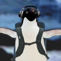 Joeyish (@imjoeyish) 's Twitter Profile