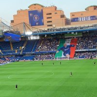 Tom (@tafc_tom15) 's Twitter Profile
