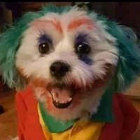 El Güesón del Norte 🇲🇽 (@claudio74279700) 's Twitter Profile Photo El Güesón del Norte 🇲🇽 (@claudio74279700) 's Twitter Profile Photo