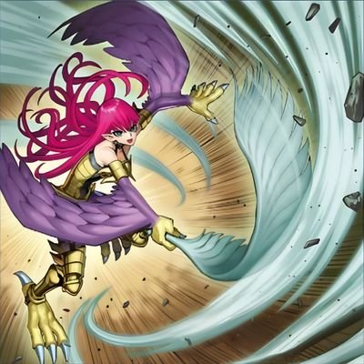 xi_roar's profile picture. 