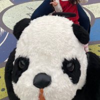 いずみさき (@pantaro421) 's Twitter Profile