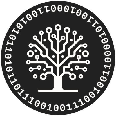 radekrachman's profile picture. 