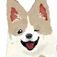 코기 (@sweet_kogi) 's Twitter Profile Photo