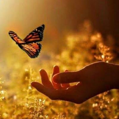 FaheemAltaf12's profile picture. I am proud to be a #Muslim ....  Little bit #Naughty but #Straight forward person....    #Love Nature & Cooking....#Love Cats....  # Stock Trading۔
