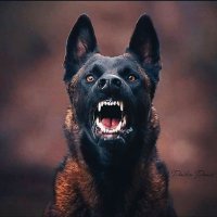 BrumaCuba (@brumacuba) 's Twitter Profile