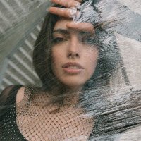 Lizbee (@lizzybeetwinkle) 's Twitter Profile
