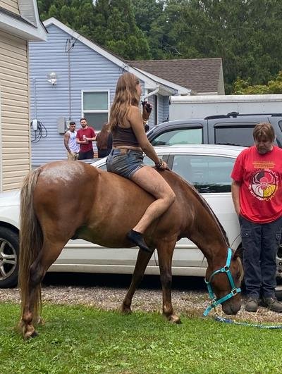 patrici15120293's profile picture. 