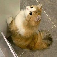 Frmon Kehart (@ad10c87m550z0) 's Twitter Profile