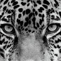 exoticaesoterica (@exoticaesoteric) 's Twitter Profile Photo