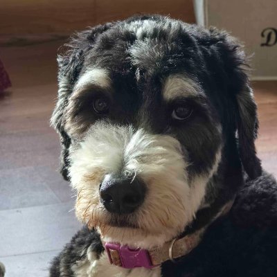 Millipedestrian's profile picture. Christian, 3D Artist, doing my part for the Kingdom. Mark 8:36