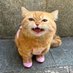 JuJu (@jujuryou) Twitter profile photo JuJu (@jujuryou) Twitter profile photo