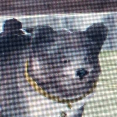 uwuroo's profile picture. 'i just sneezed on ky phone thats how u put lip palm on its phone pusy' -  @jjonglovemail

♡NU'EST♡SHINee♡NCT♡SuperM♡