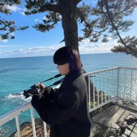 ぴつこ (@pitsuko_) 's Twitter Profile