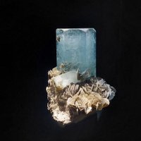 AlphaJuliet 🧭 Fas est et ab hoste doceri (@okkipepernoot) 's Twitter Profile Photo