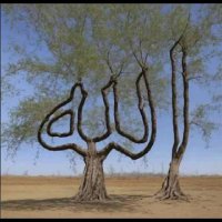 muhammadchamlaibo (@muhammadch85302) 's Twitter Profile