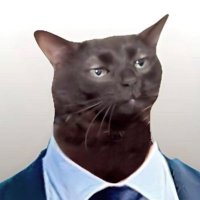 StinkMasta (@stink_masta) 's Twitter Profile