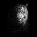 Epaineo (@epaineo_) Twitter profile photo Epaineo (@epaineo_) Twitter profile photo