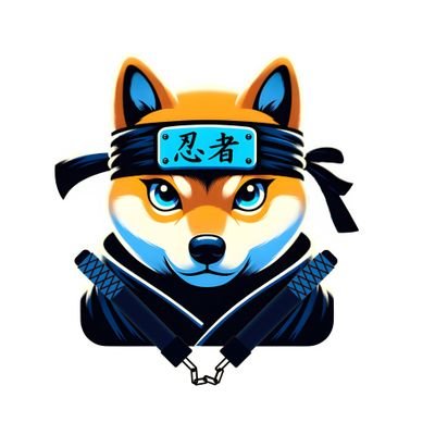 MrCryptoGem100x's profile picture. Top Coins I Have 
$Ninja
