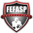 fefaspoficial's profile image