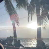 月 (@pxcyg) 's Twitter Profile