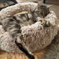 メモ用 (@memorandam1111) 's Twitter Profile Photo