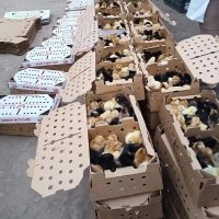 ecobro_ventures (@ecobro_ventures) 's Twitter Profile