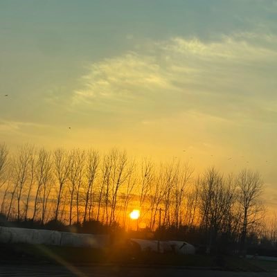 huai81280's profile picture. 