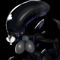 𝐗𝒆𝒏𝒐𝒎𝒐𝒓𝒑𝒉 𝐇𝒊𝒗𝒆 (@xen0hive) 's Twitter Profile Photo