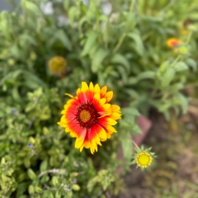 dream_ra1994's profile picture. https://t.co/GlRe2vRGn2.Laugh. Christian//Wife to a Patriot since 1996//Mother//🏥. Love to 🌱 🏖️ Love our 🌎