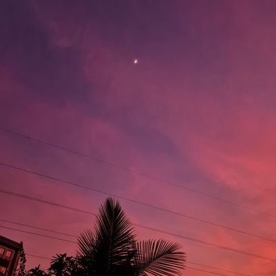 maitriii29's profile picture. 