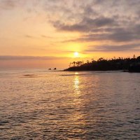 Working My-Nerva❤️‍🔥🦄👨🏻‍🦳💃🏽🐶🐾🧋☕️👊🏽 (@athenaxeryus) 's Twitter Profile Photo