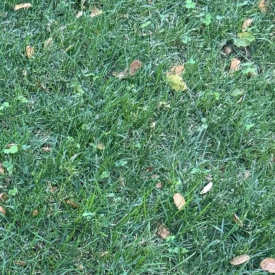 mcohn5's profile picture.