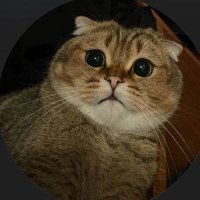 VolgaLad (@cym27s) 's Twitter Profile Photo VolgaLad (@cym27s) 's Twitter Profile Photo