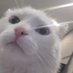 wanter (@wanterere) Twitter profile photo wanter (@wanterere) Twitter profile photo