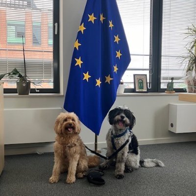LiviaCarvalhoR1's profile picture. Ame a todos, confie em poucos e não seja injusto com ninguém.
Socialista, Zoadora e Européia. 🐾🎋🎑🎸