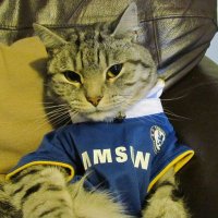 Eddi π¨π΄π§’ (@eddicfc) 's Twitter Profile