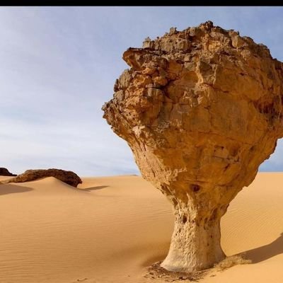 MjthdN48563's profile picture. تابعني أرد المتابعة فوراً.