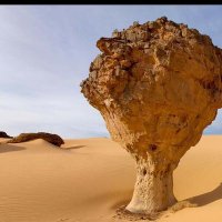 زائر نجران. حساب بديل (@mjthdn48563) 's Twitter Profile