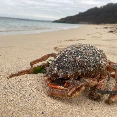 Green_Yogi's profile picture. Creative professional, keen hiker, passionate to protect the earth