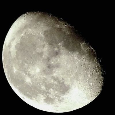 Someone_Good's profile picture. 