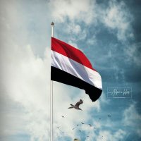 عمران الشرعبي (@ahflnck6hjjprkr) 's Twitter Profile