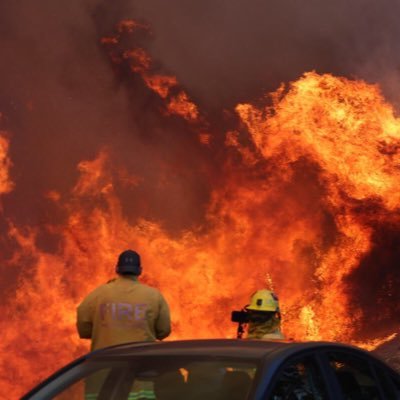 📍Tracking the #PalisadesFire in real time 📹 Reposting videos & vital updates for the community 🌟 Stay safe. Stay connected