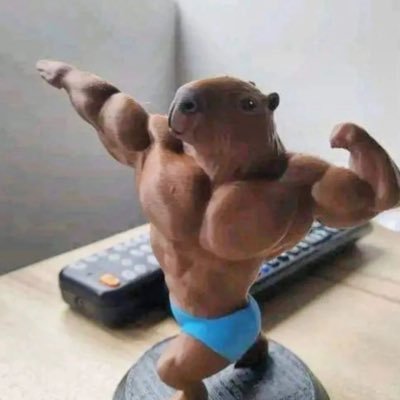 aquopici's profile picture. Holder Bitcointry Token