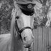 Horse Sense (@horsesense25) Twitter profile photo Horse Sense (@horsesense25) Twitter profile photo
