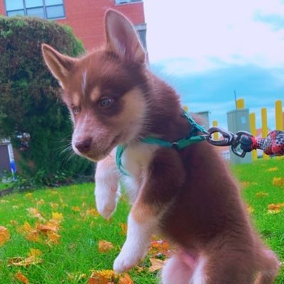 Curious_JYS's profile picture. 🇰🇷